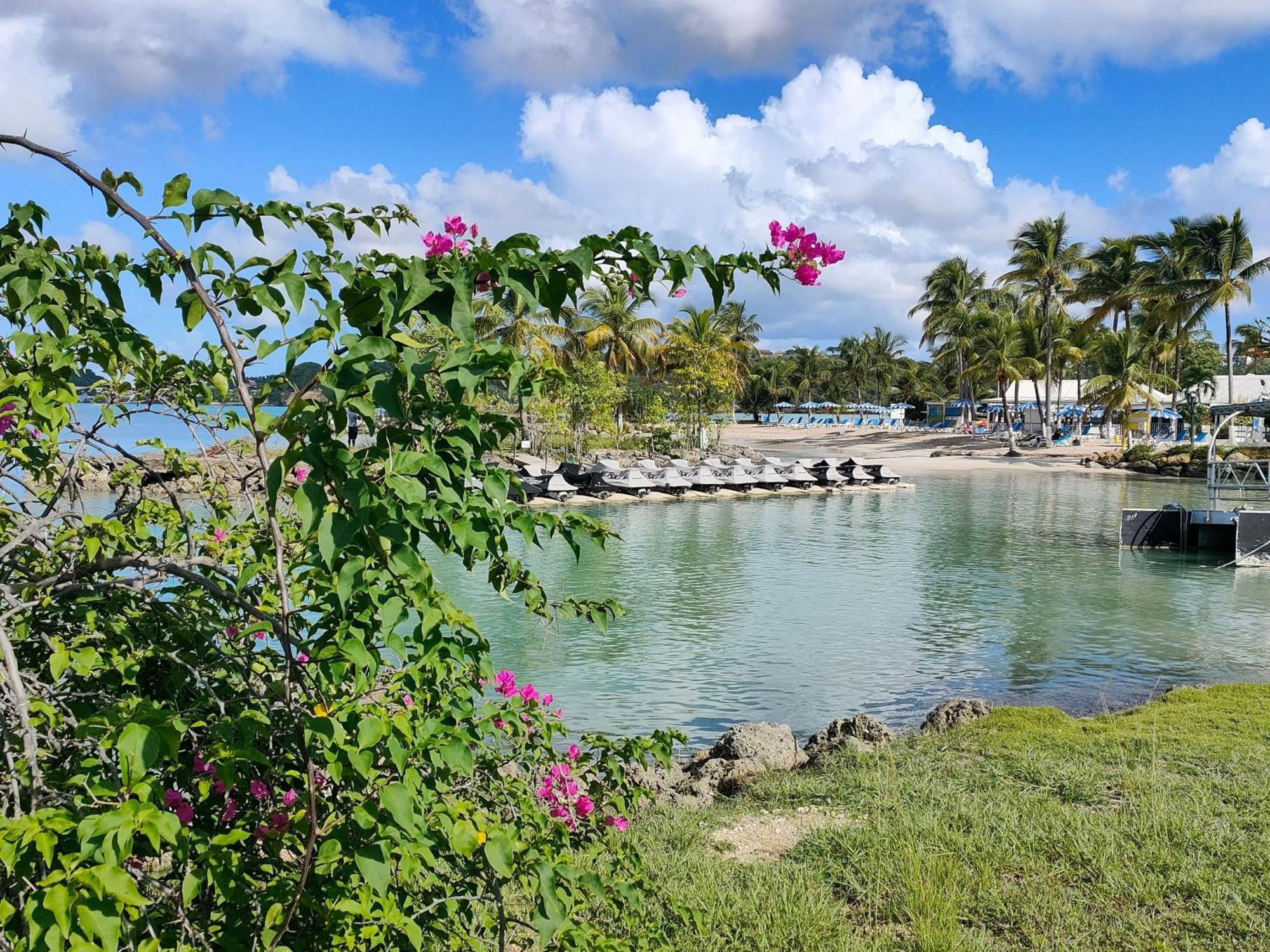 Studio Vue Mer, Pieds Dans L'Eau Le Gosier  Exterior foto